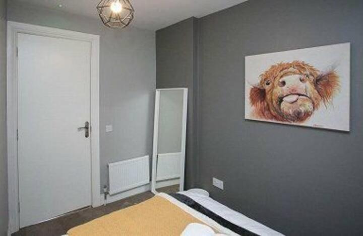 Amazing 3 Bedroom Home, Prime Bt1 Postcode And City Centre Location Belfast Luaran gambar